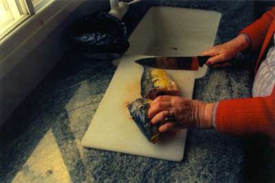 My Mother Preparing Gefilte Fish S.S. 470430-170725